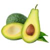 Aguacate Catalina