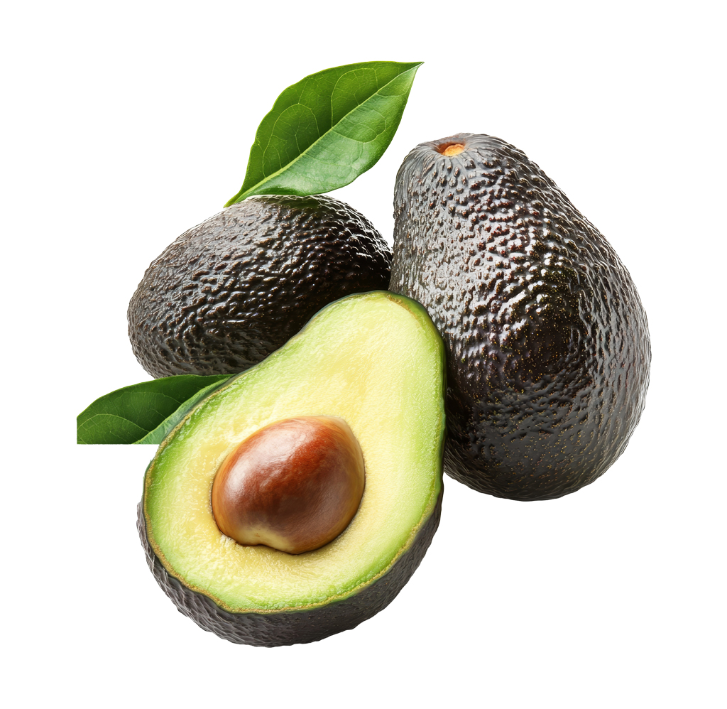 Aguacate Polo Negro