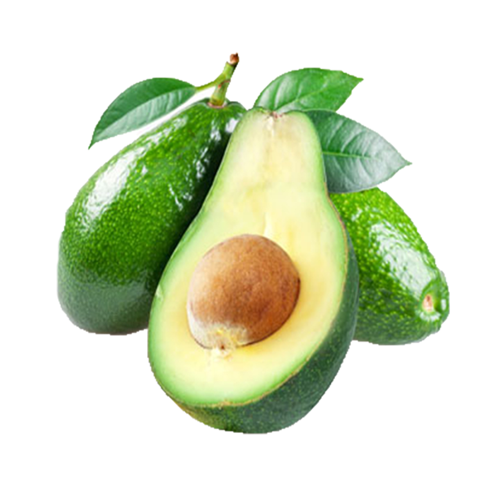 Aguacate Polo Liso